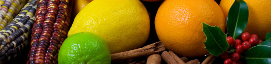 短信网页在线轰炸